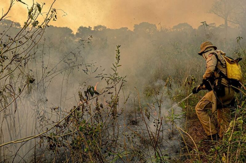 Queimadas e recursos hídricos: efeitos das cinzas sobre os ecossistemas aquáticos