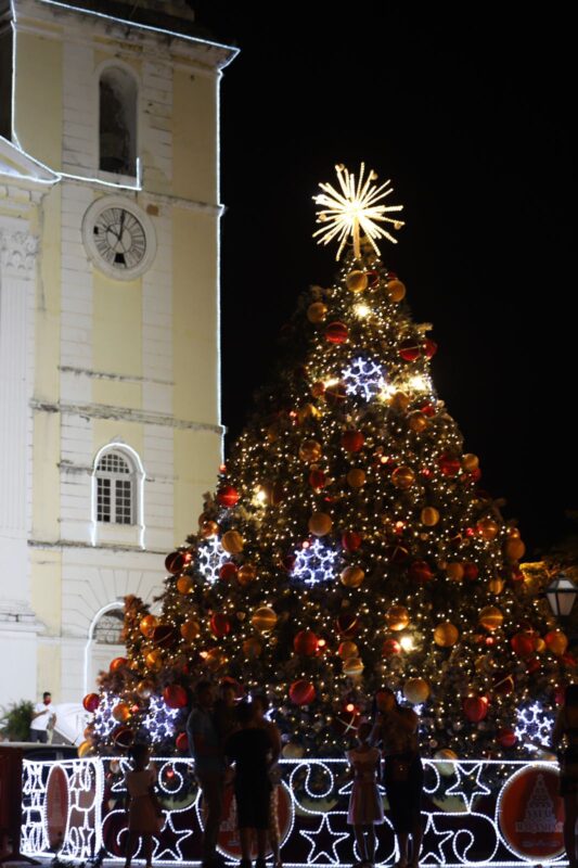 Árvore de natal em frente a Igreja da Sé, emociona familiares – Foto: Fernanda Bordalo