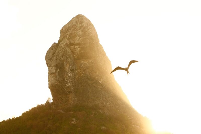 Noronha se destaca no turismo nacional pela segurança que o destino possibilita aos seus visitantes, seja pelo controle e exigência dos protocolos, seja pela amplitude de seus espaços naturais - Foto: Divulgação