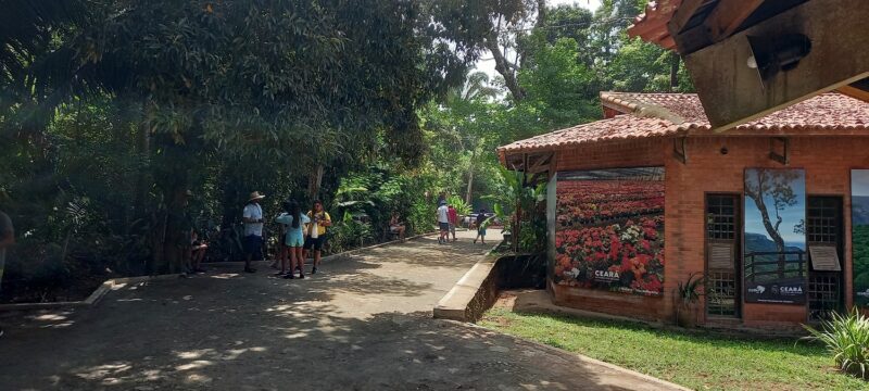 Um ambiente em constante fluxo de visitantes coberto pela verde da  natureza - foto: Gutemberg Bogéa