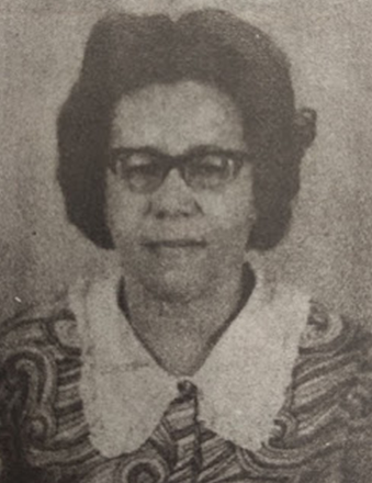 Rosa Mochel criou A Festa da Juçara, no Maracanã, Colégio Japi-Açu, no Anjo da Guarda, e Centro de Artes Japi-Açu, no Diamante – Foto: Reprodução