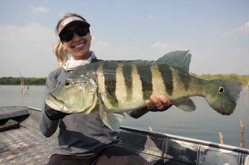 Tucunaré, o reio do rio e da pesca esportiva – Foto: Flávio Cavalera