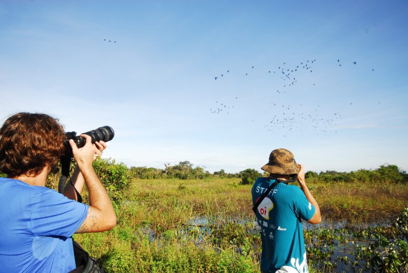 Safári fotográfico em Lagoa da Confusão – Foto: Emerson Silva