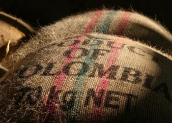 Café em queda na Colômbia - Foto: Reprodução