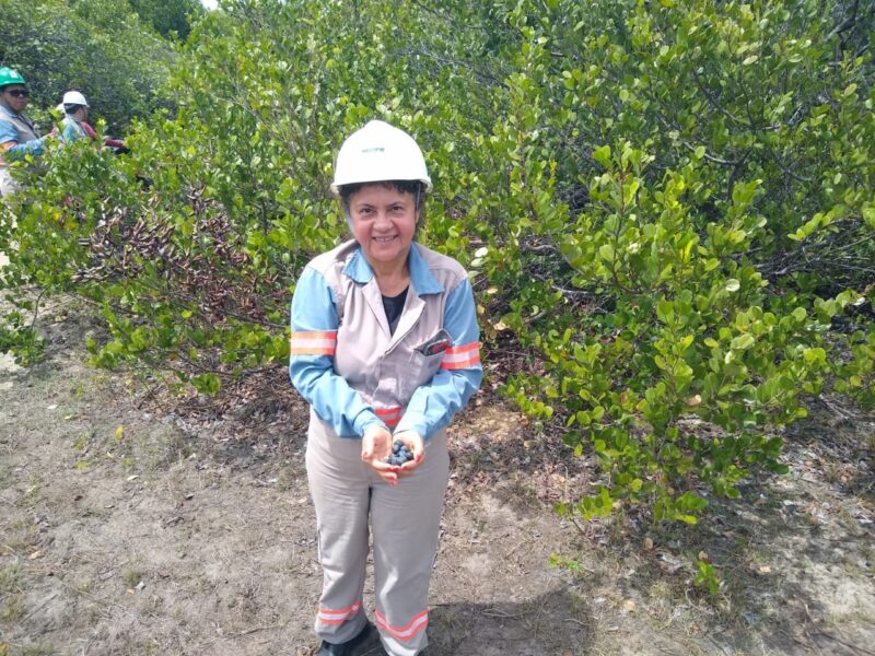 Alinez Martins em campo atuando como Engenheira Eletricista da Equatorial Maranhão – Foto: Divulgação