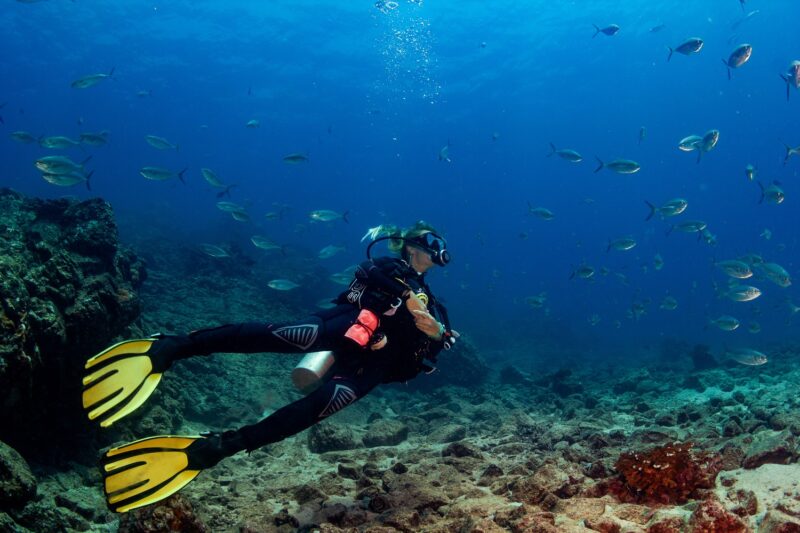 O mercado de pesca esportiva cresceu exponencialmente, e, de acordo com os dados mais recentes, já movimenta cerca de 700 bilhões de dólares no mundo - Foto: Divulgação