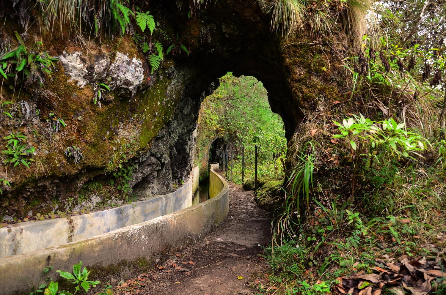 Levada do Furado - Foto: Divulgação