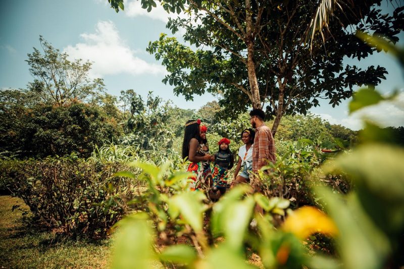 Os parques e florestas são experiências incríveis para os visitantes – Foto: Divulgação