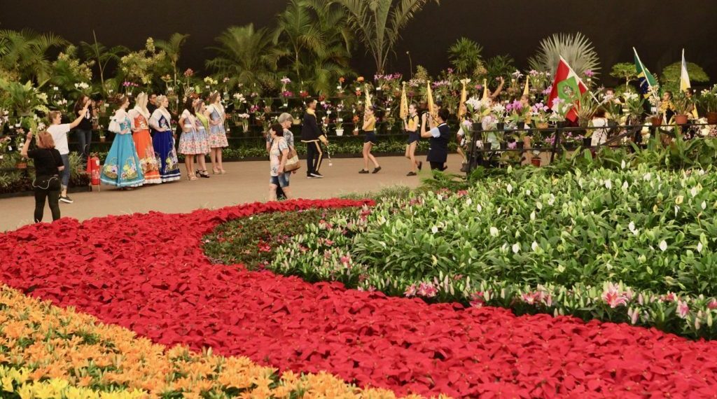 Festa das Flores em Joinville - Foto: Reprodução