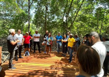 Os agentes de turismo estão em um momento de conversa sobre os cajueiros, no Sítio Cajueiro – Foto: Divulgação