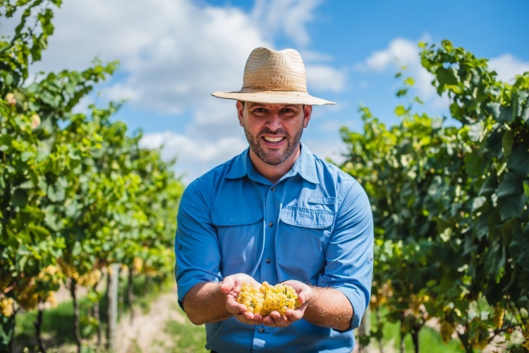 Eduardo Valduga, diretor do Grupo Famiglia Valduga, e que atua pessoalmente como o guia da experiência da Vindima – Foto: Divulgação