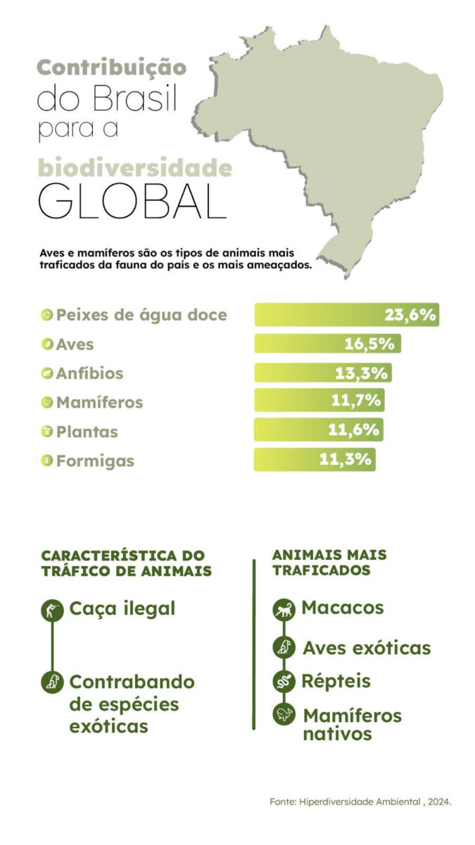 Ilustração