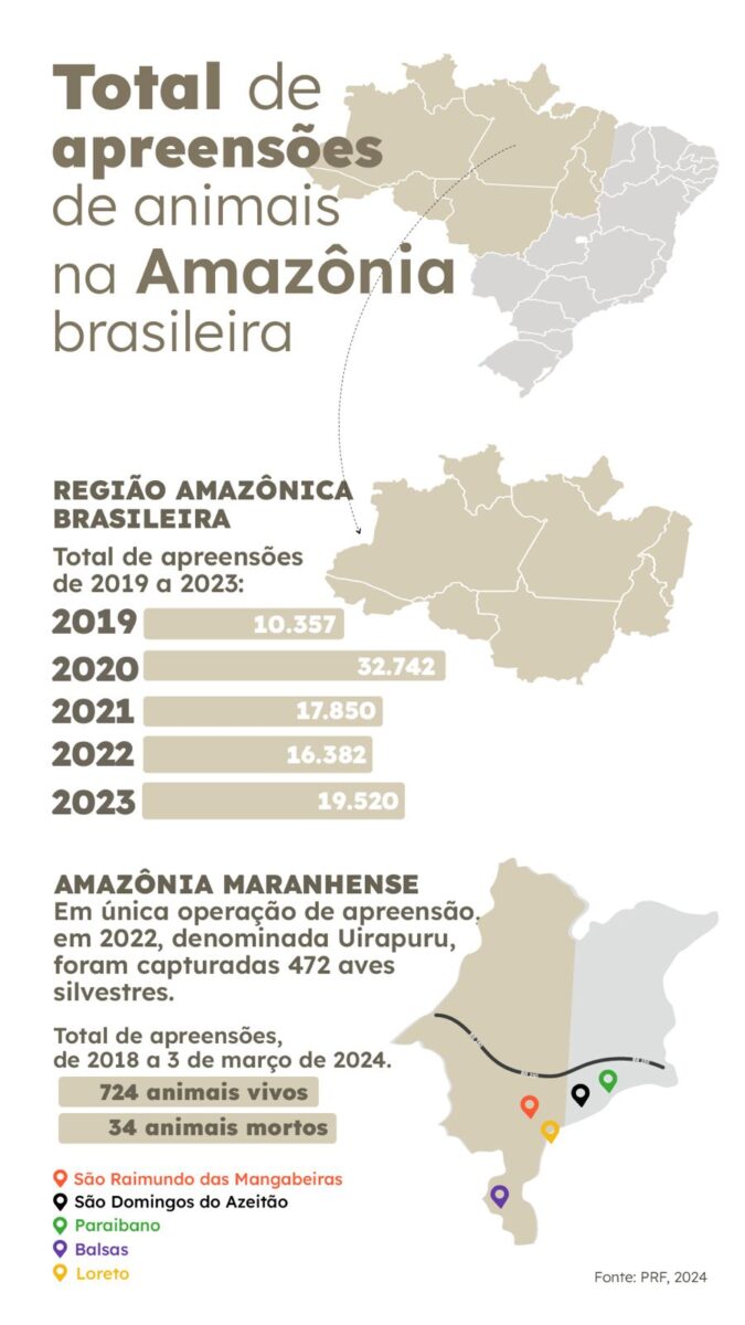 Ilustração