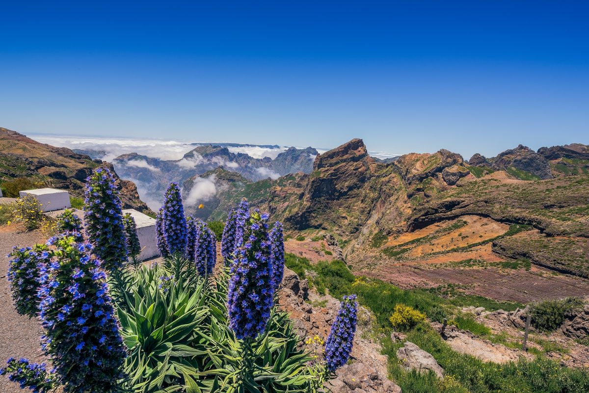 A deslumbrante vista das montanhas, com o verde do oceano da ilha - Foto: Divulgação