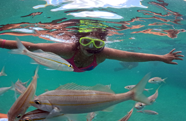 Mergulho livre em meio aos cardumes de peixes em área conhecido como ‘parrachos’ – Foto: Christina Hayne