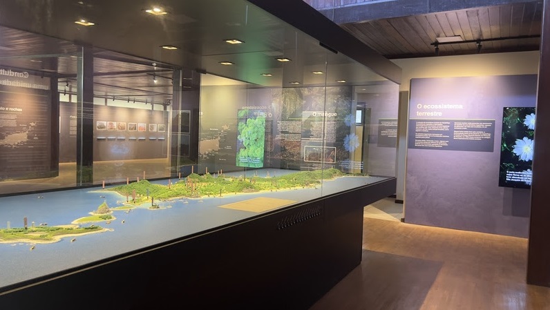 A exposição também reforça a importância da preservação ambiental e será uma ferramenta educativa valiosa para a comunidade e os visitantes - Foto: Zaira Matheus