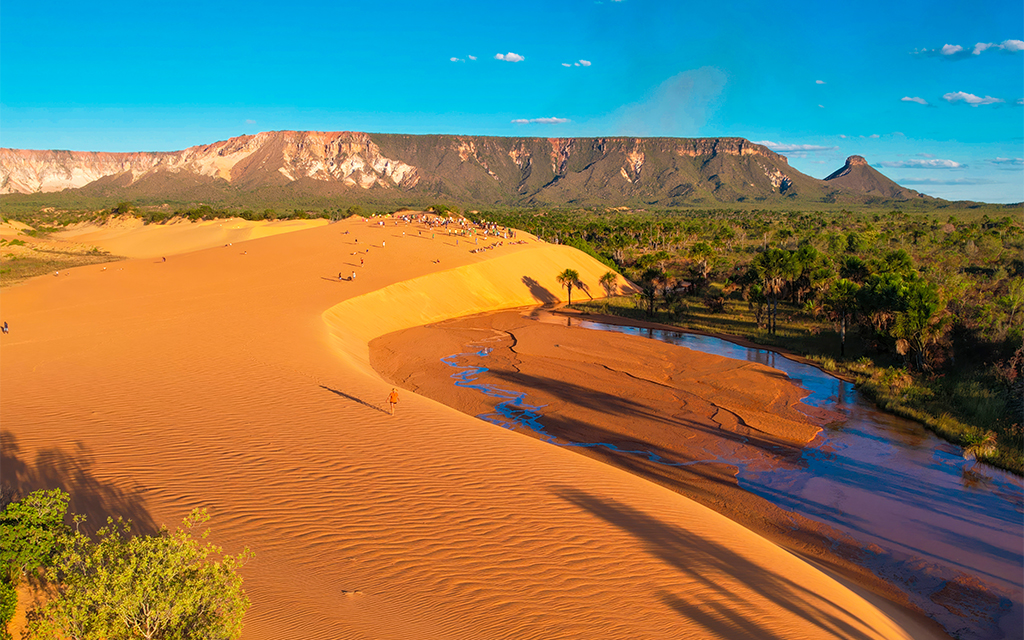 Conhecido por suas belezas naturais, como as dunas, o Jalapão também guarda outro tesouro, o artesanato em capim-dourado – Foto: Ascom/Tocantins