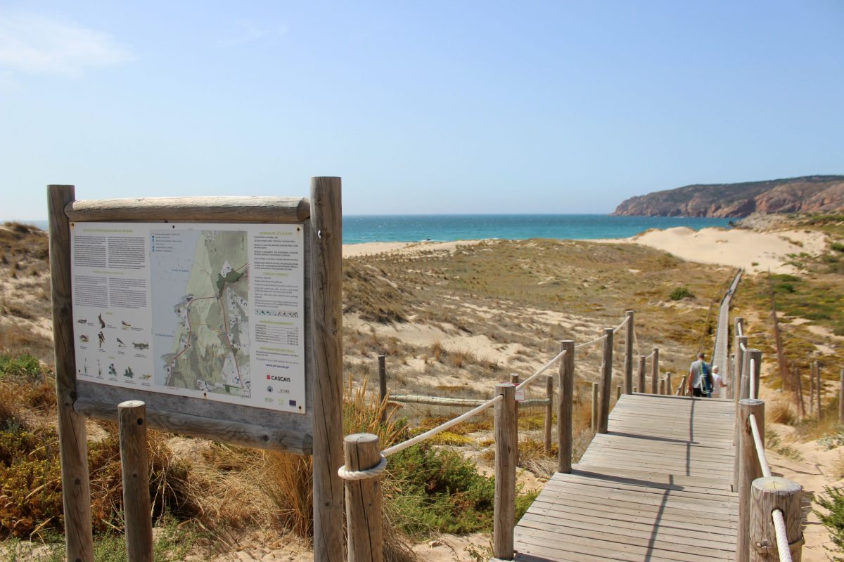 As dunas e o mar no horizonte da praia do Guincho - Foto: Divulgação