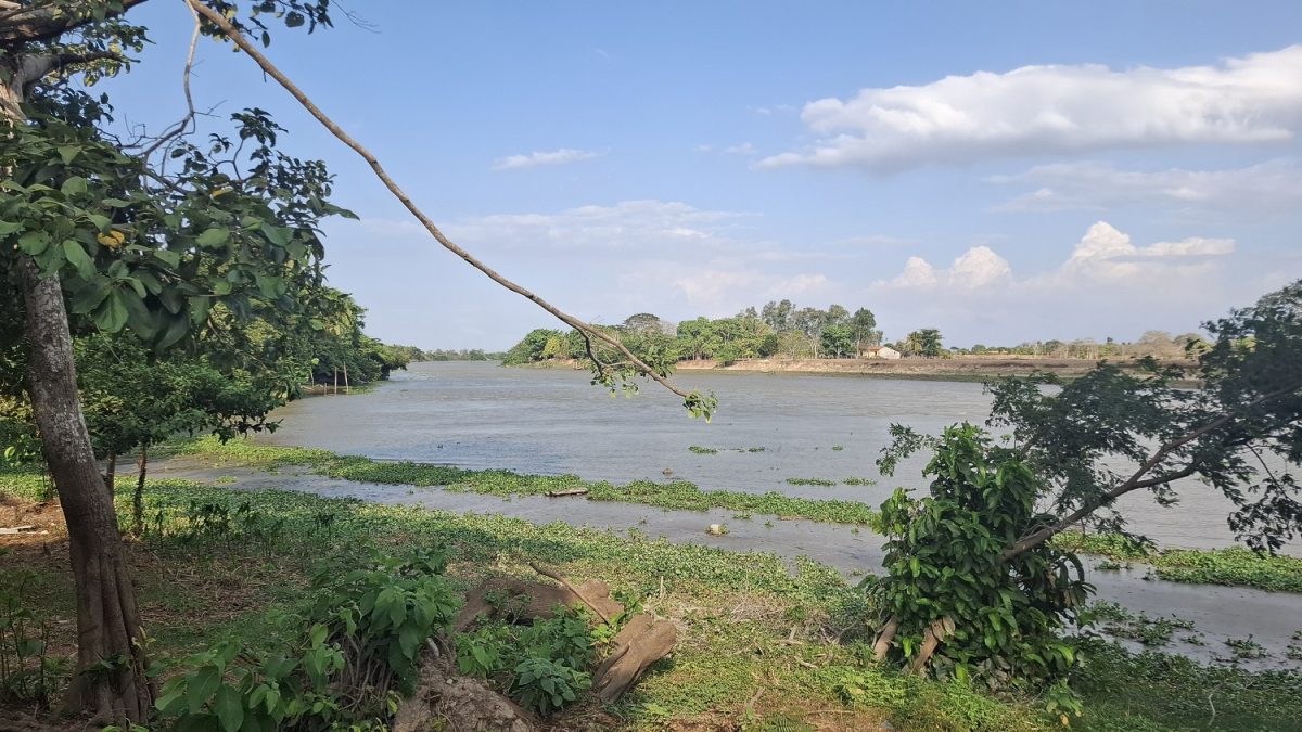 ”O Princípe Soberano” dos rios maranhenses, o Rio Mearim, o rio que banha os municípios de Formosa da Serra Negra, Grajaú, Barra do Corda, Esperantinópolis, Pedreiras, Trizidela do Vale, São Luís Gonzaga, Bacabal, Vitória do Mearim, Arari (onde se observa o fenômeno da Pororoca) - Foto: Gutemberg Bogéa