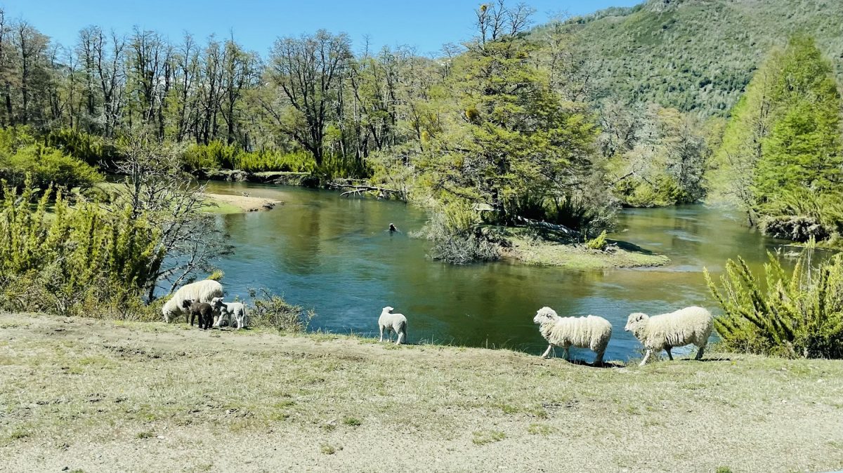 A exuberante beleza natural de San Carlos de Bariloche e arredores, que só aparece na primavera e no verão – Foto: Divulgação