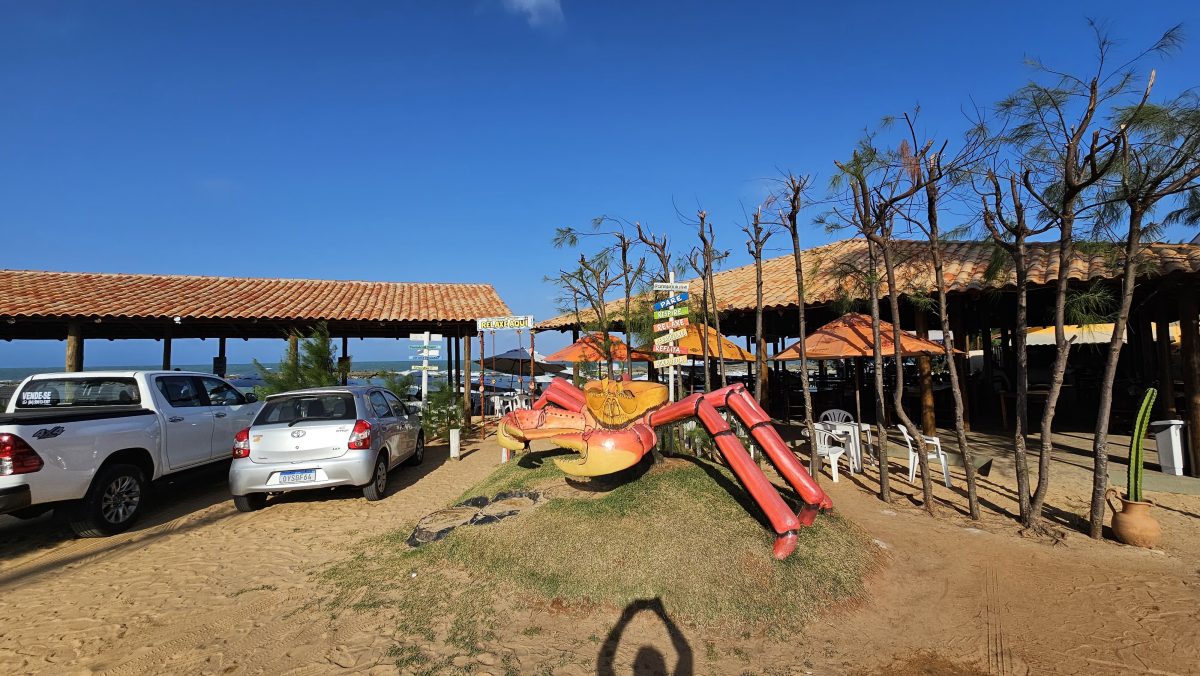 Caranguejo do Olavo, um dica imperdível - Foto: Divulgação