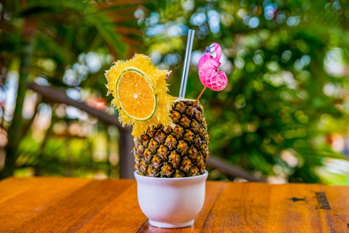 Um verão perfeito em Nísia Floresta no litoral potiguar - Foto: Divulgação