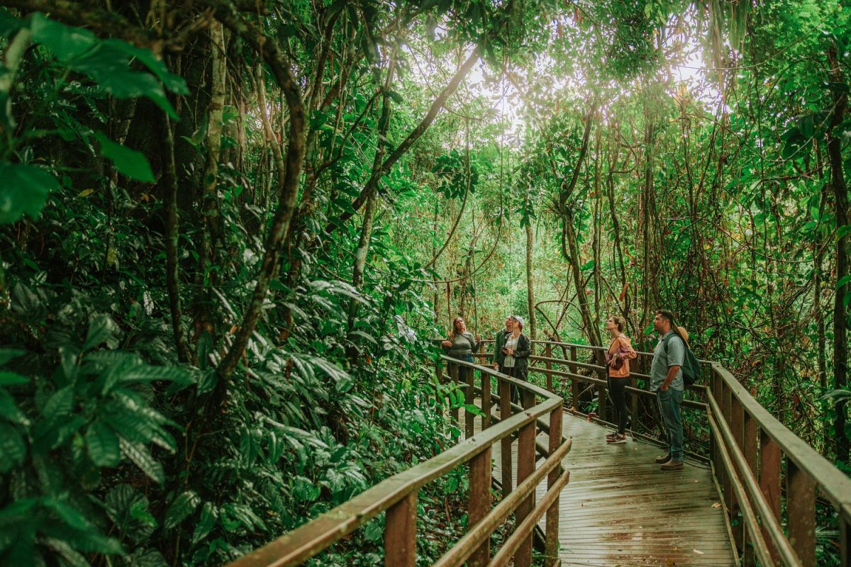 A poucos minutos do Centro Histórico de Paraty, a Fazenda Bananal, com seus 180 hectares de floresta preservada, é um convite à imersão na Mata Atlântica - Foto: Divulgação