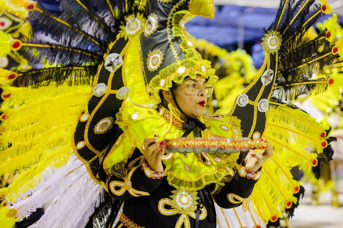 Com o tema: “João do Vale: De Pedreiras para o mundo, o voo do Carcará”, o Vinagreira Show foi o campeão do Grupo B, subindo para a elite dos blocos tradicionais – Foto: Divulgação