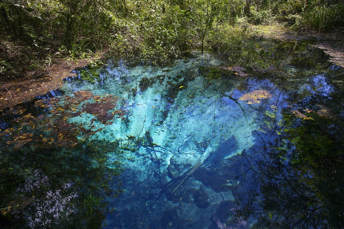 O turismo responsável, a preocupação com os ambientes naturais - Foto: Flávio André