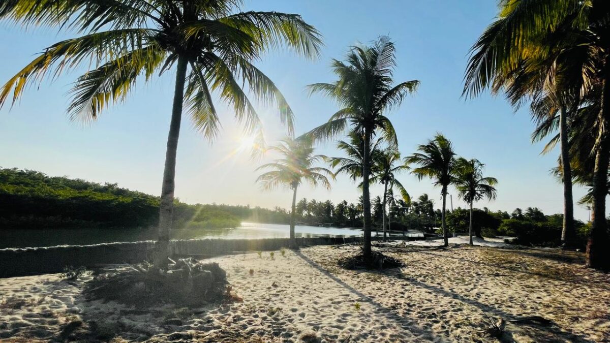 A vista do rio e dos coqueiros é um verdadeiro cartão postal, na praia privativa do Refúgio do Igarapé em Atins – Foto: Danielle Vieira