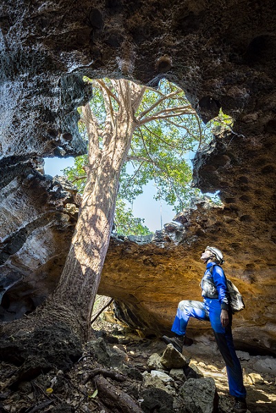 O Abrigo do Letreiro abriga uma rica biodiversidade conhecida por suas pinturas rupestres milenares - Foto: ICMBio-Cecav